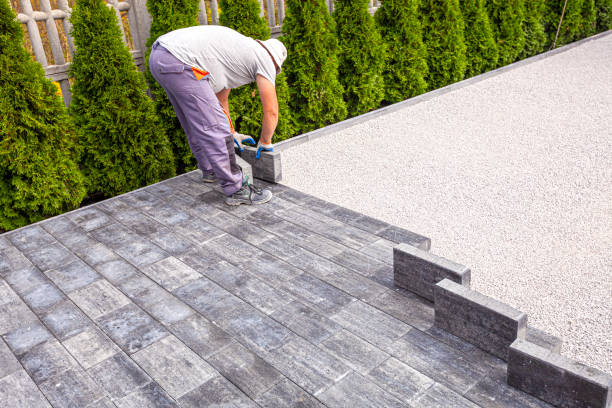 Best Driveway Repair Near Me  in Ahoskie, NC
