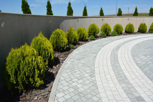 Reasons to Select Us for Your Driveway Paving Requirements in Ahoskie, NC